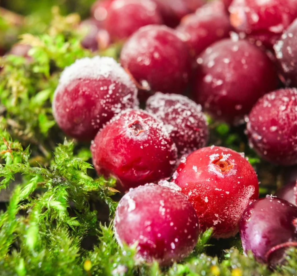 Frosted Cranberry Cuticle Oil