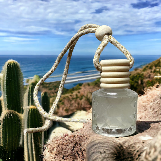 Cactus and Sea Salt Car Perfume